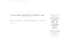 Desktop Screenshot of cameronbuckner.net
